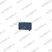 Микровыключатель для водонагревателя Thermex City 3500 (mviklCity35)